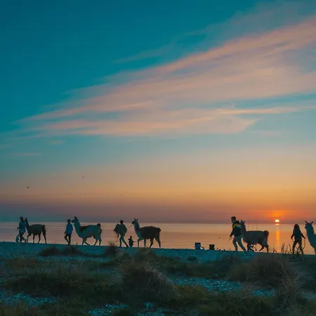 Apartament Himmelsbesen *