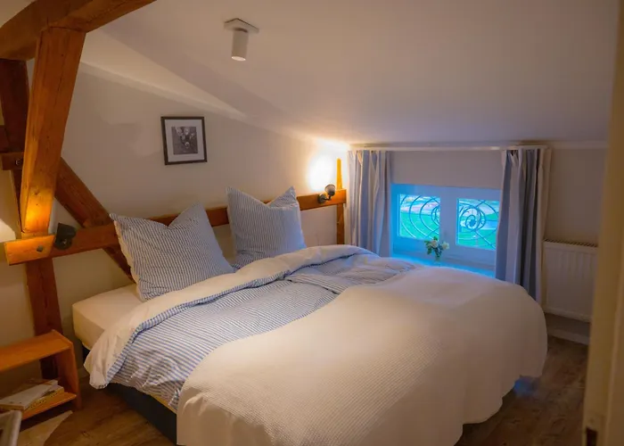 Himmelsbesen * Westermarkelsdorf